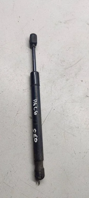 Tailgate/trunk strut/damper 4f5827553