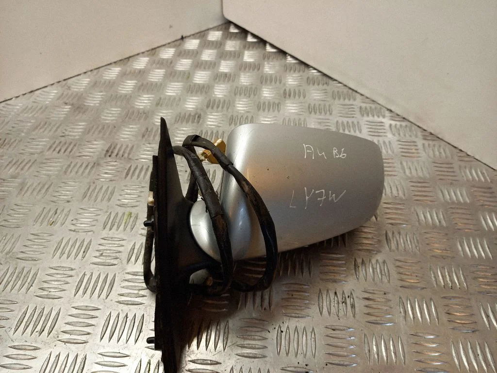 Front door electric wing mirror E11015817