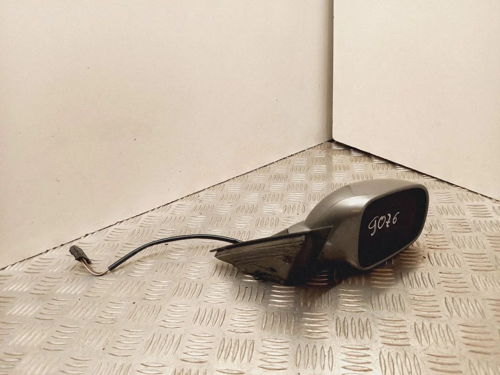 Front door electric wing mirror E1020514