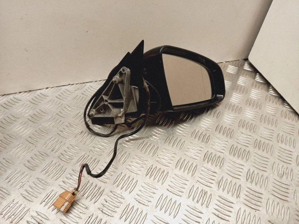 Front door electric wing mirror E1010681