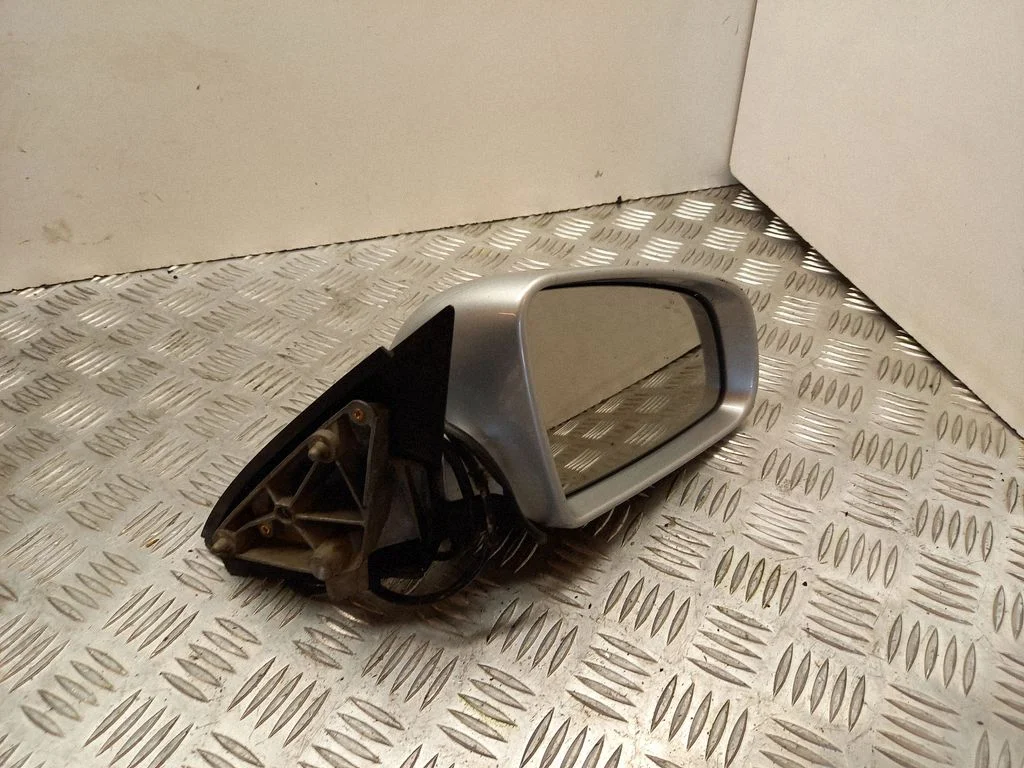 Front door electric wing mirror E1010681