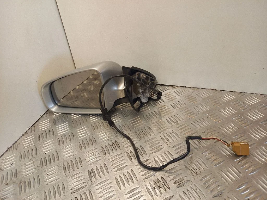 Front door electric wing mirror E1010681
