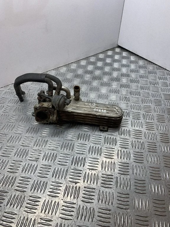 EGR aušintuvas