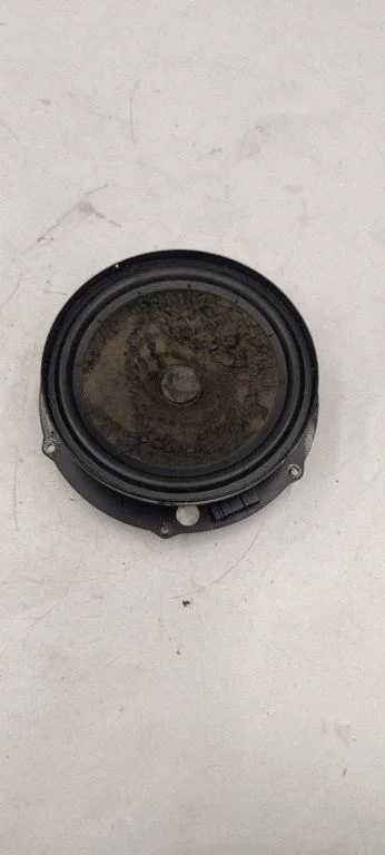 Front door speaker