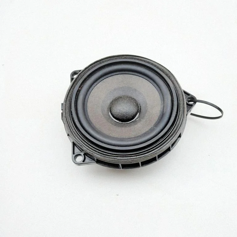 Esiukse kõlar(id) 2622469
