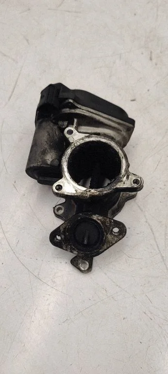EGR valve