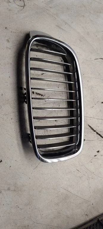 Front grill 7295435