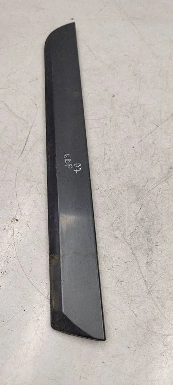 Rear door trim (molding) 8E0853970E