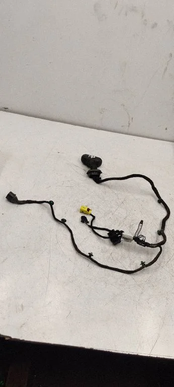 Front door wiring loom 8E1971029AE