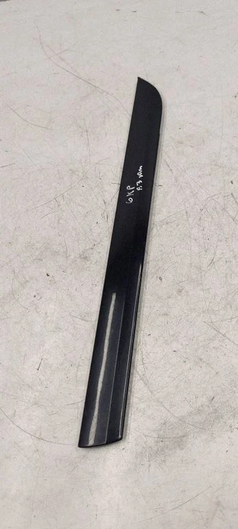 Rear door trim (molding) – rear left