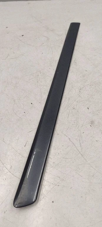 Rear door trim (molding) 8E0853964