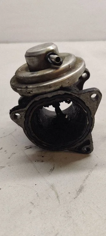 EGR-klapp 0381315015