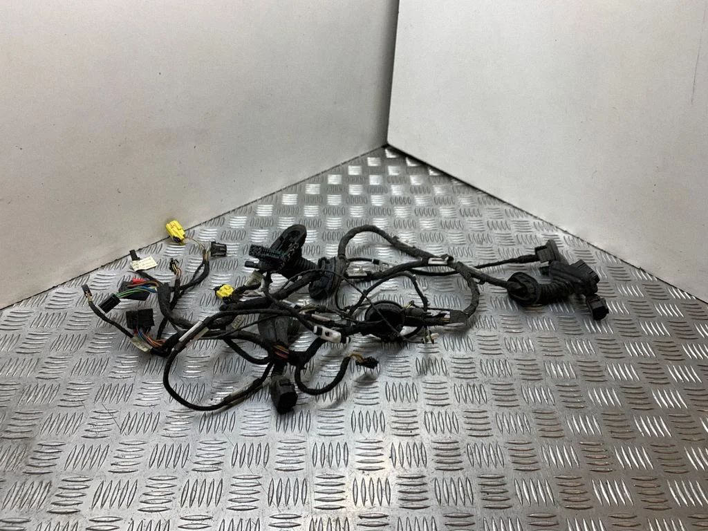 Front door wiring loom 4F0971841E