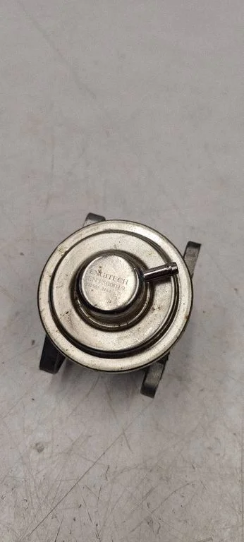 EGR valve 500019