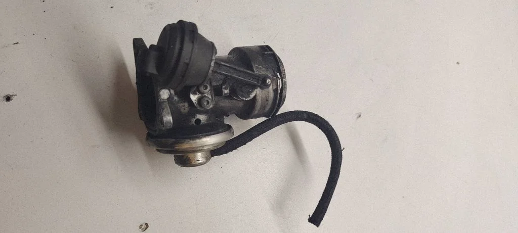 EGR-klapp – Volkswagen Passat B5.5 (2001-2005)