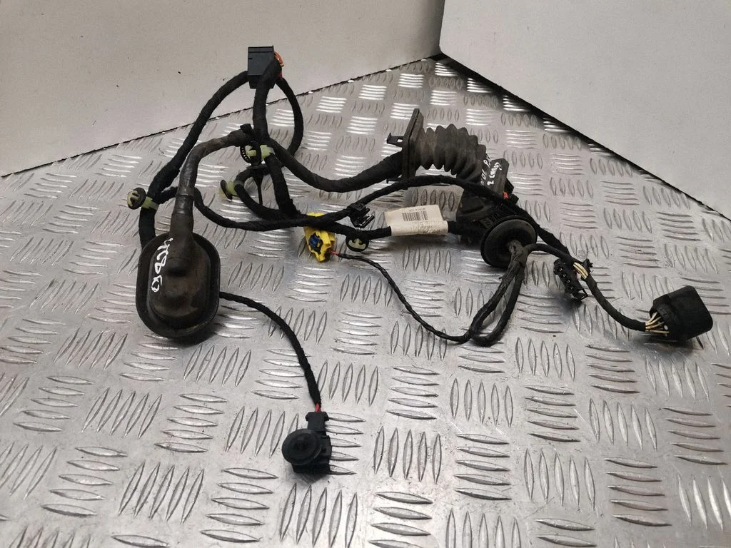 Front door wiring loom 3C1971120BP