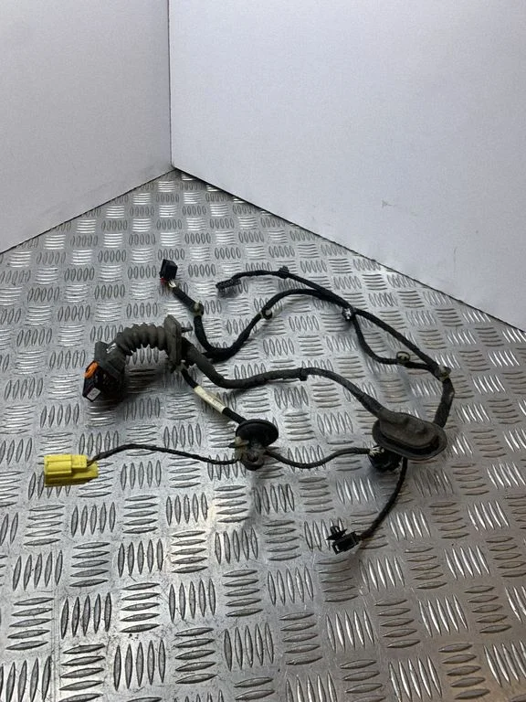 Front door wiring loom