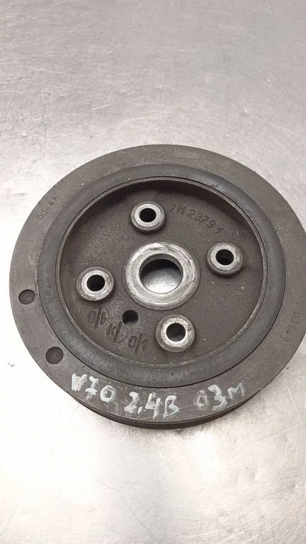 Kloķvārpstas skriemelis ZM23791