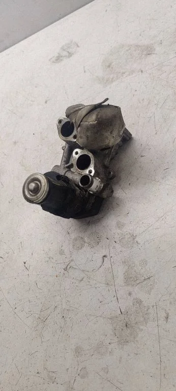 EGR-klapp 11725505