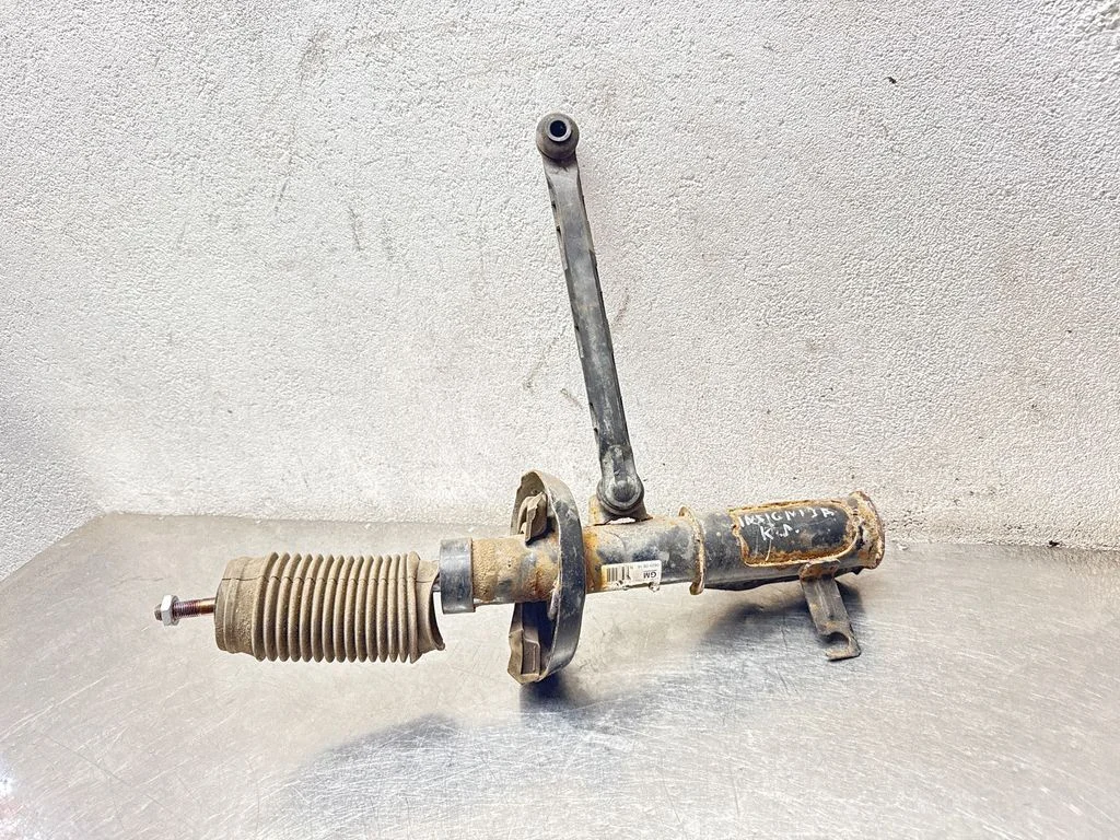 Front shock absorber/damper 13245967