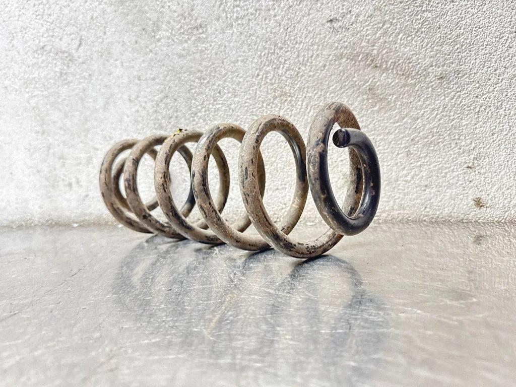 Rear coil spring