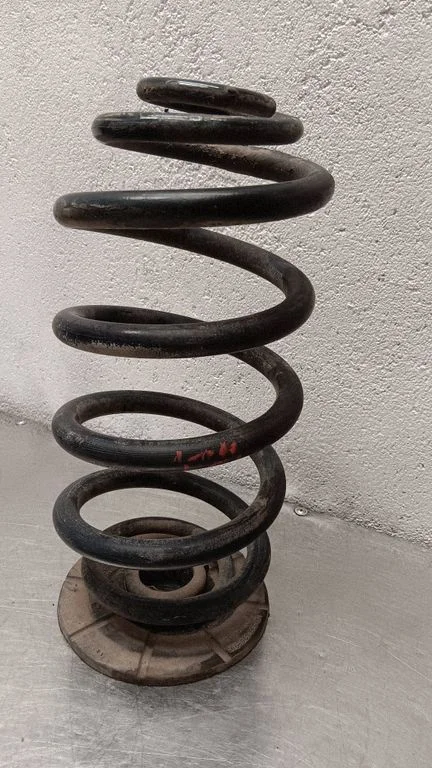 Rear coil spring