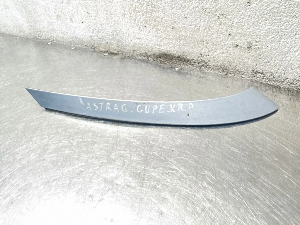 Roof trim bar molding cover 12559A