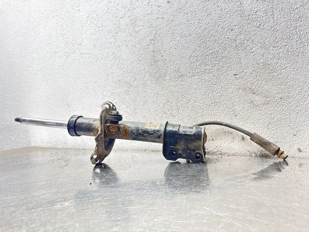 Front shock absorber/damper 22214599