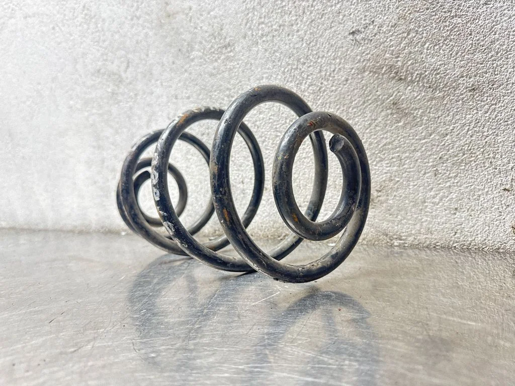 Rear coil spring
