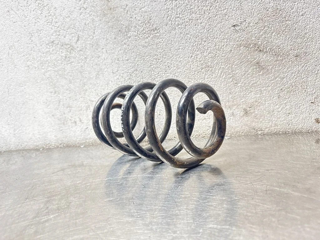 Rear coil spring