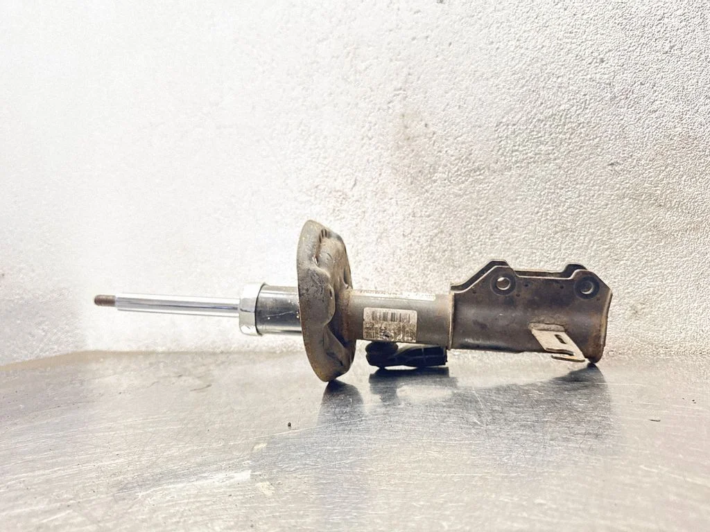 Front shock absorber/damper 13354029