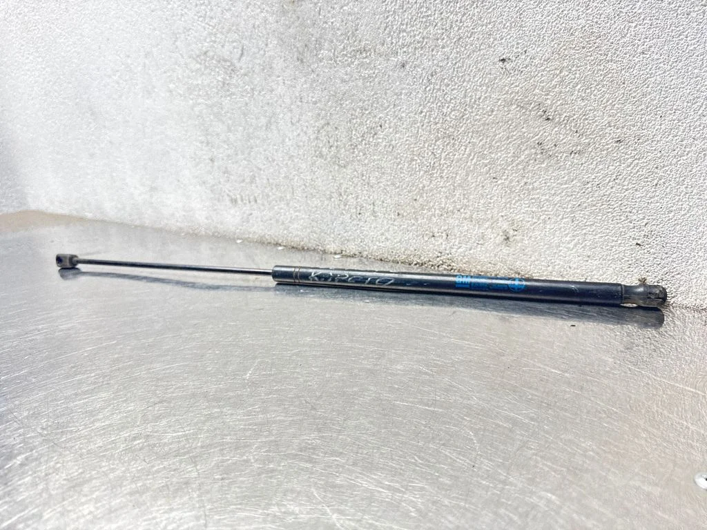 Front bonnet/hood damper/strut 24454473