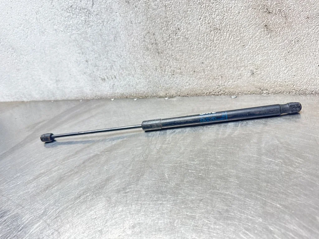 Tagaluugi gaasiamortisaator 13332570