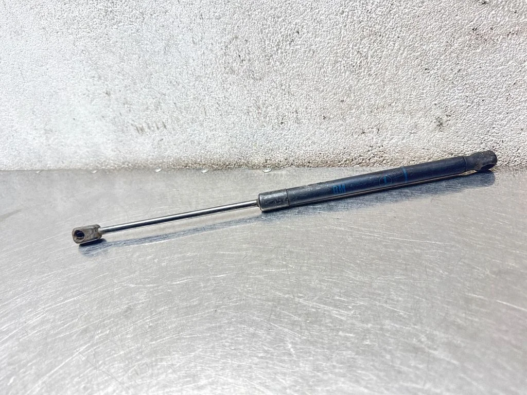 Tailgate/trunk strut/damper 24463829