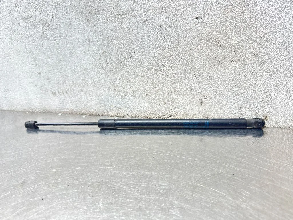 Tagaluugi gaasiamortisaator 315005777