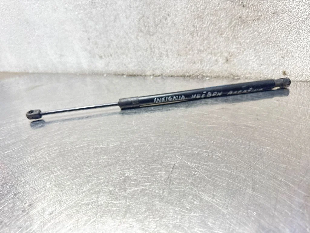Tailgate/trunk strut/damper 13321298