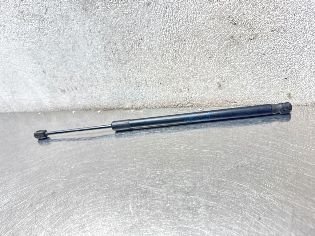 Tagaluugi gaasiamortisaator 13321298