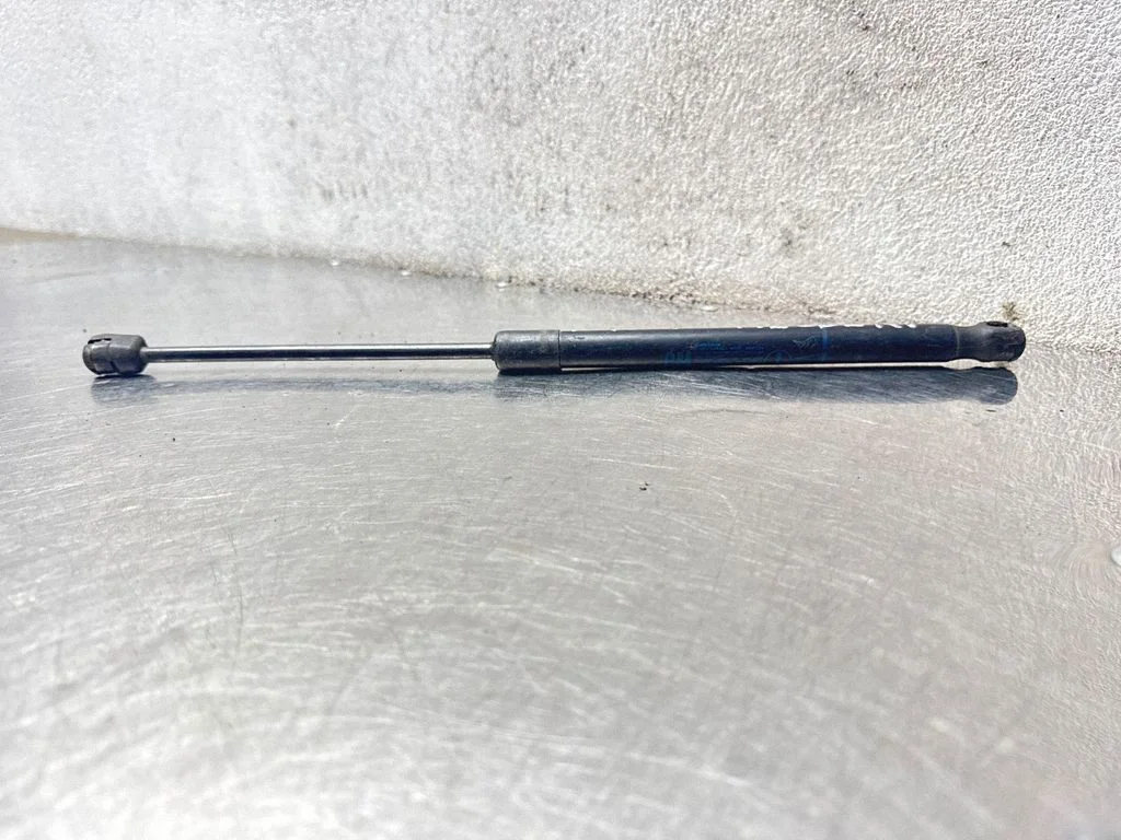 Tailgate/trunk strut/damper 24463829