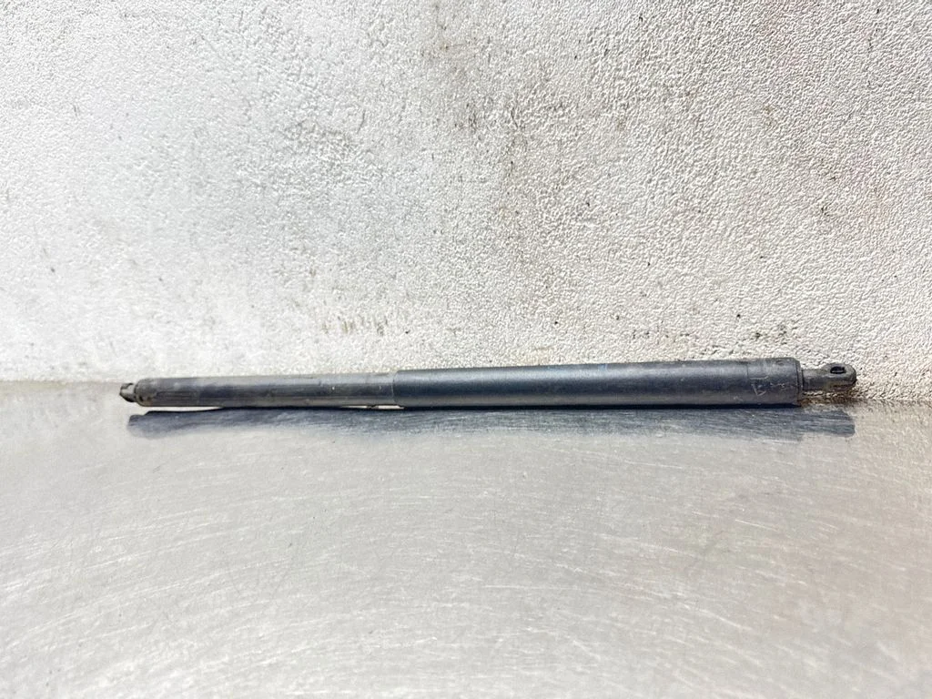 Tailgate/trunk strut/damper 13247949