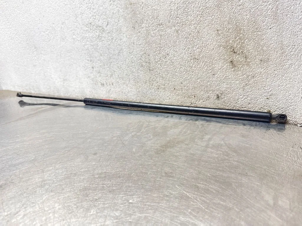 Tailgate/trunk strut/damper 8200162697