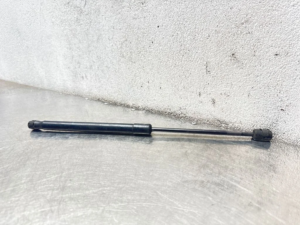 Tailgate/trunk strut/damper 244638290512