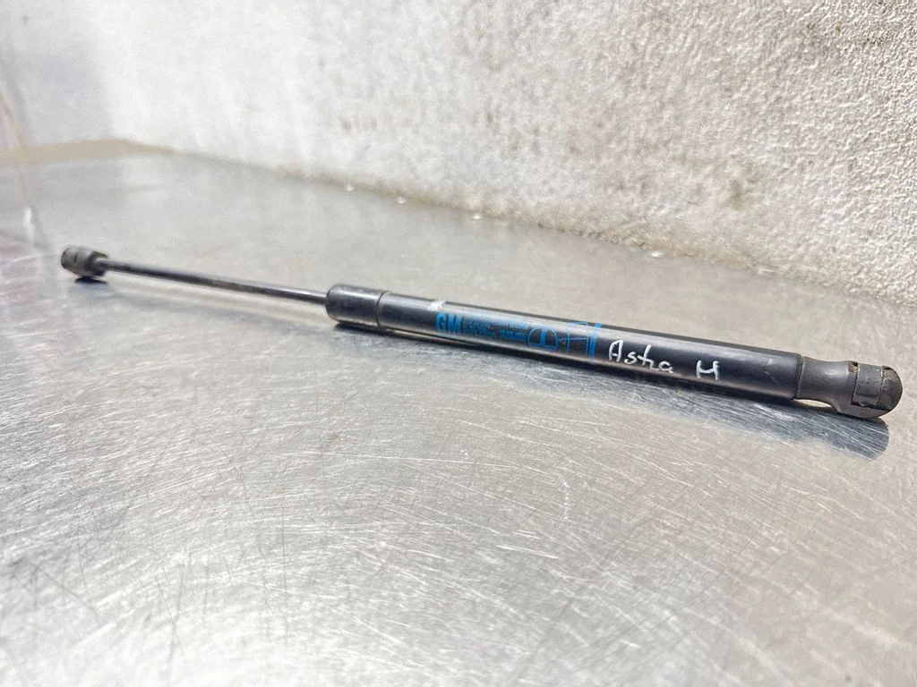 Tailgate/trunk strut/damper 24463829