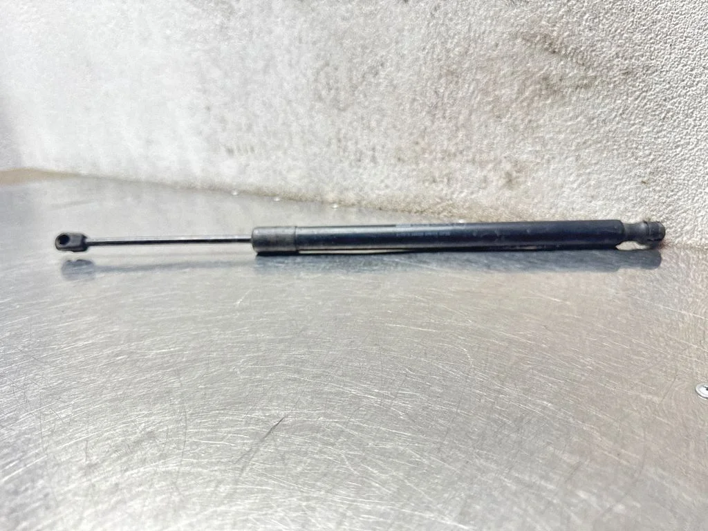 Tailgate/trunk strut/damper 13246577