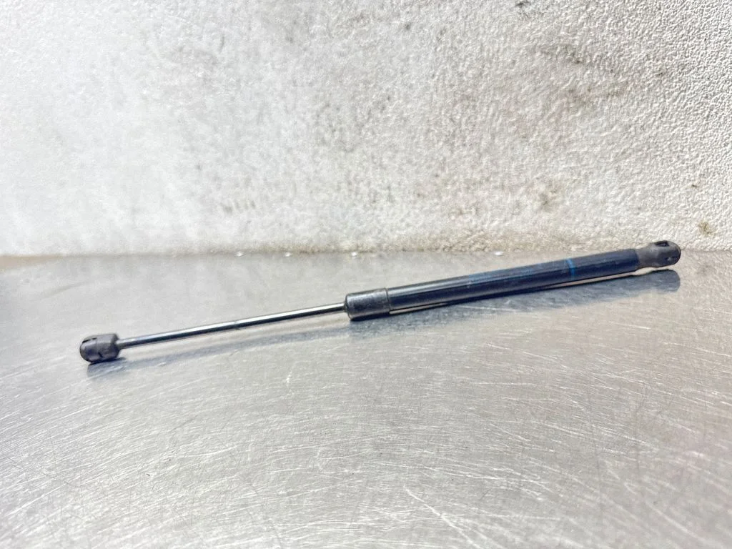 Tailgate/trunk strut/damper 24463829