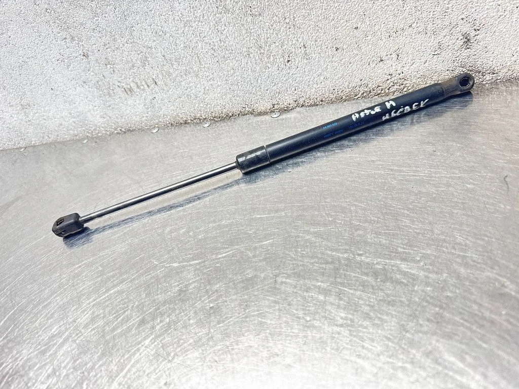 Tailgate/trunk strut/damper 24463829