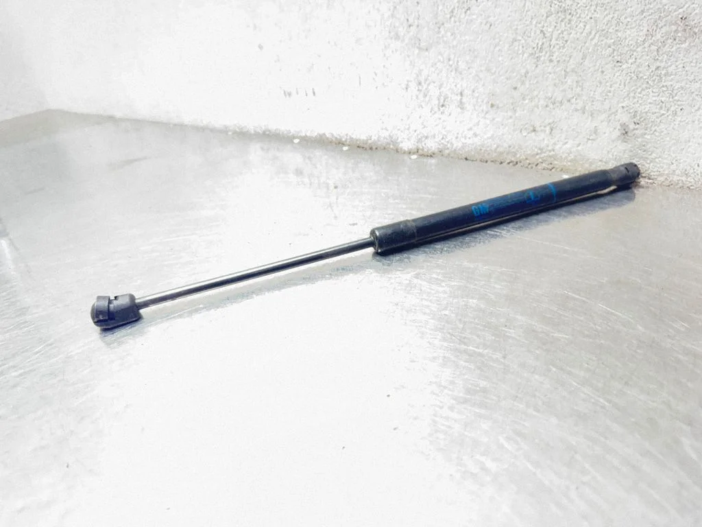 Tailgate/trunk strut/damper 24463829