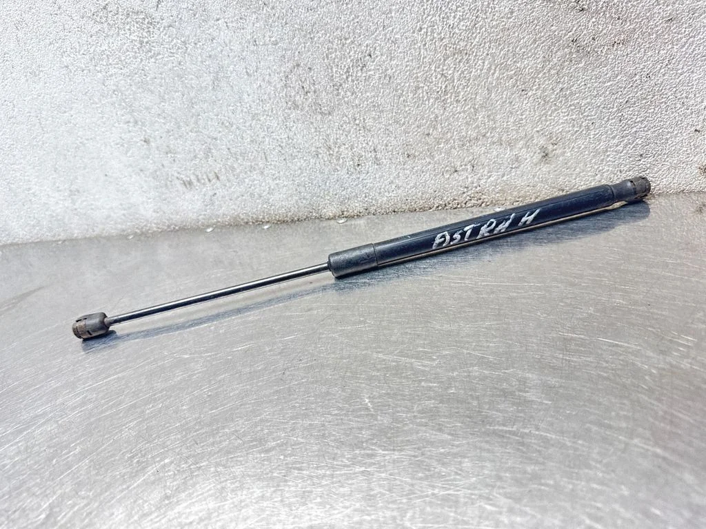 Tailgate/trunk strut/damper 13122695