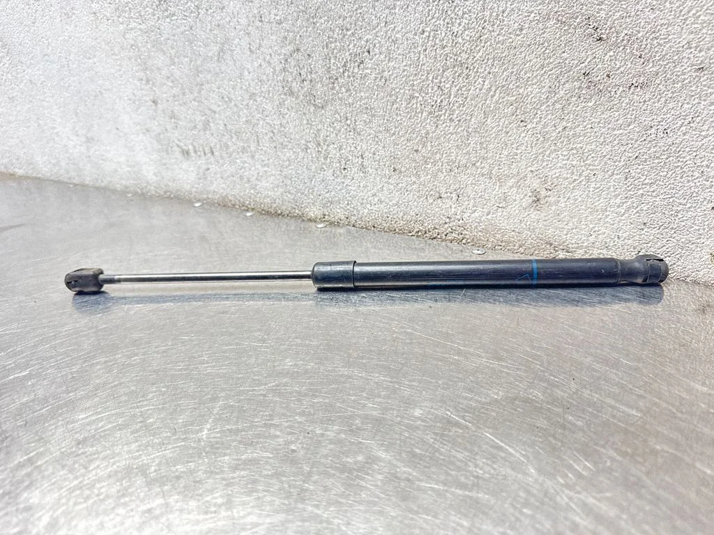 Tailgate/trunk strut/damper 24463829