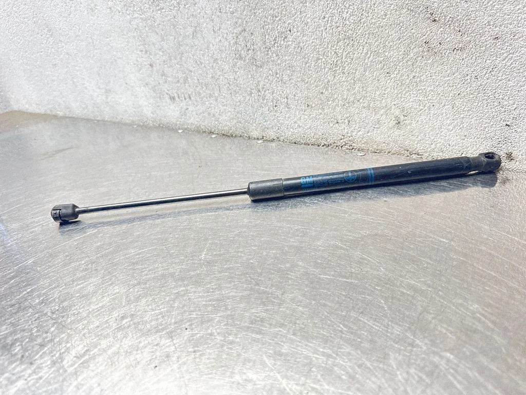 Tailgate/trunk strut/damper 13122695