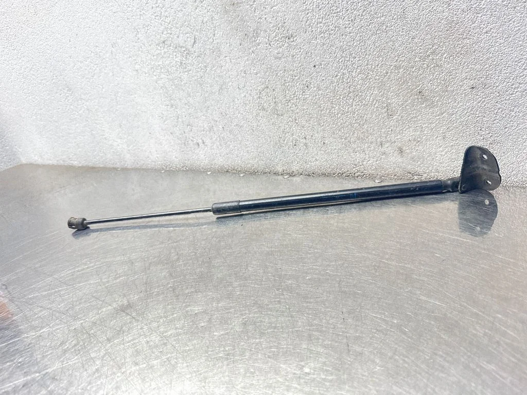 Tailgate/trunk strut/damper 13258179